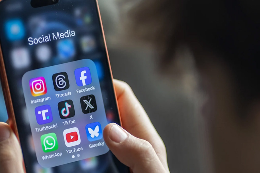 Social Media Fraud Case Assessment